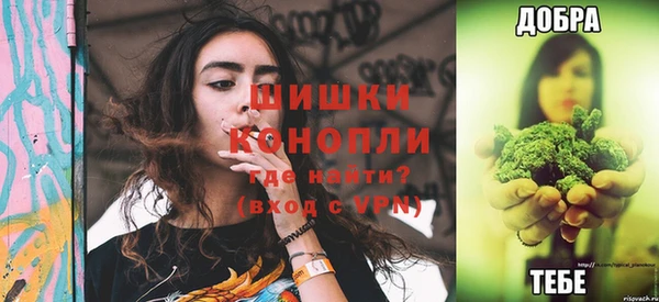 молекула духа Алексин