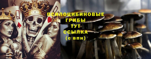 метамфетамин Алексеевка