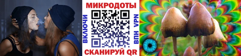 Галлюциногенные грибы мухоморы  Лесосибирск 