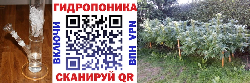 Каннабис тримм Лесосибирск